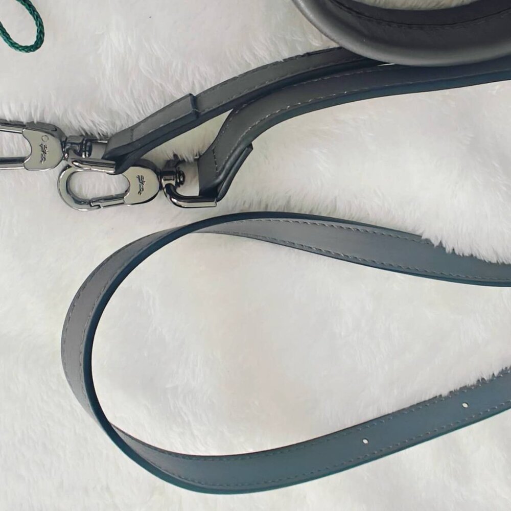 NEW Longchamp Le Pliage Xtra XS Handbag Leather in Turtledove - Picture 11 of 12